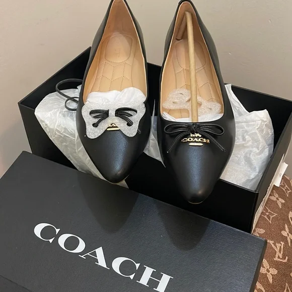 Brandnew Coach Annbel Leather Ballet Shoes - Picture 1 of 4